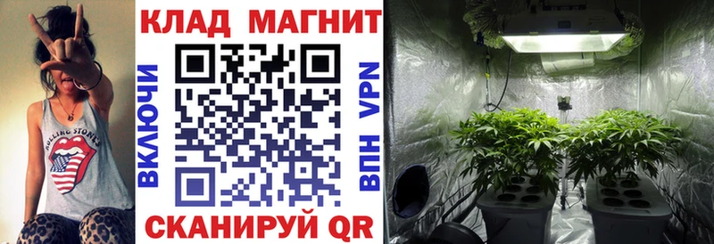 Купить закладку Куртамыш ГАШИШ  БУТИРАТ  Амфетамин  Меф  Конопля 