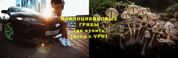 тгк Пестово