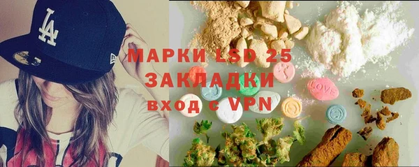 хмурый Алзамай