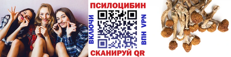 что такое наркотик  Куртамыш  блэк спрут вход  Псилоцибиновые грибы Cubensis 